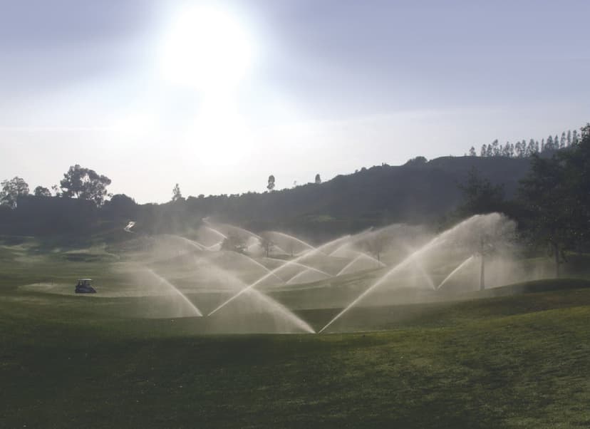 Picture of Golf & Turf