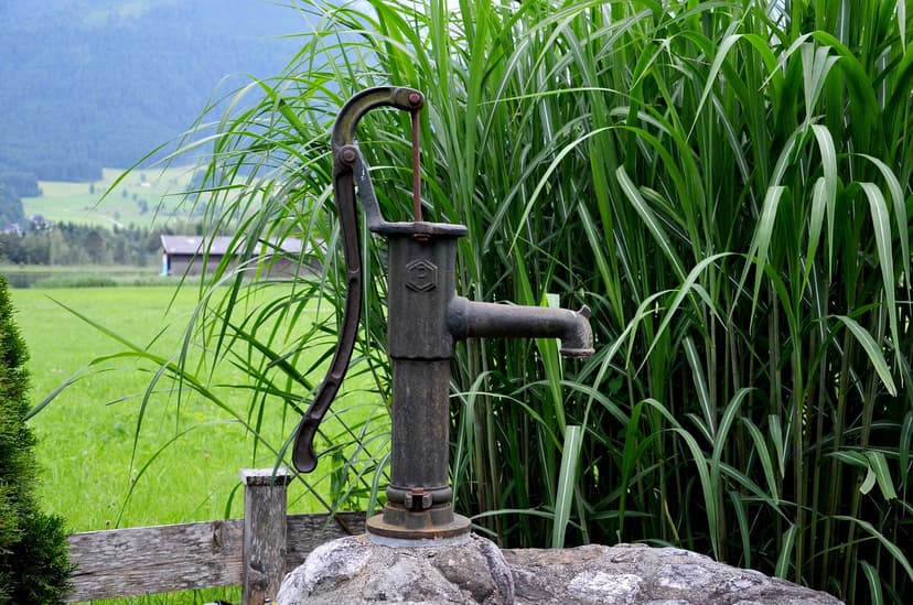Picture of Well Water