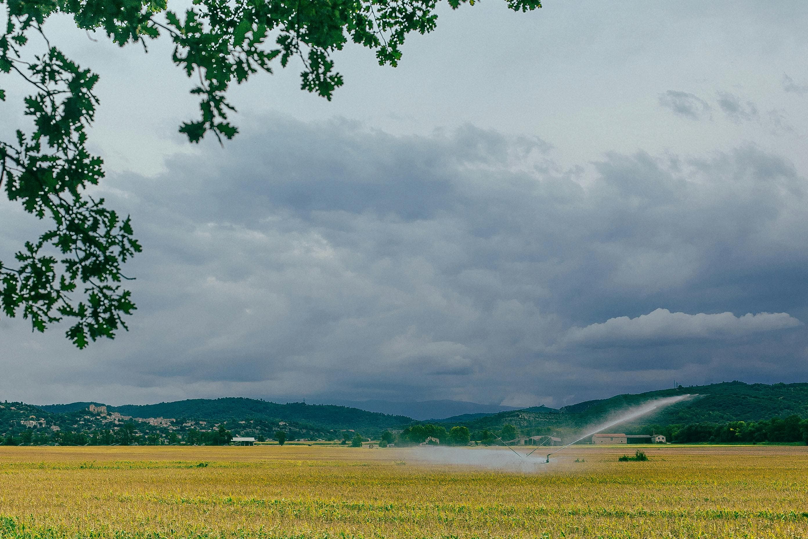 Picture of Agriculture