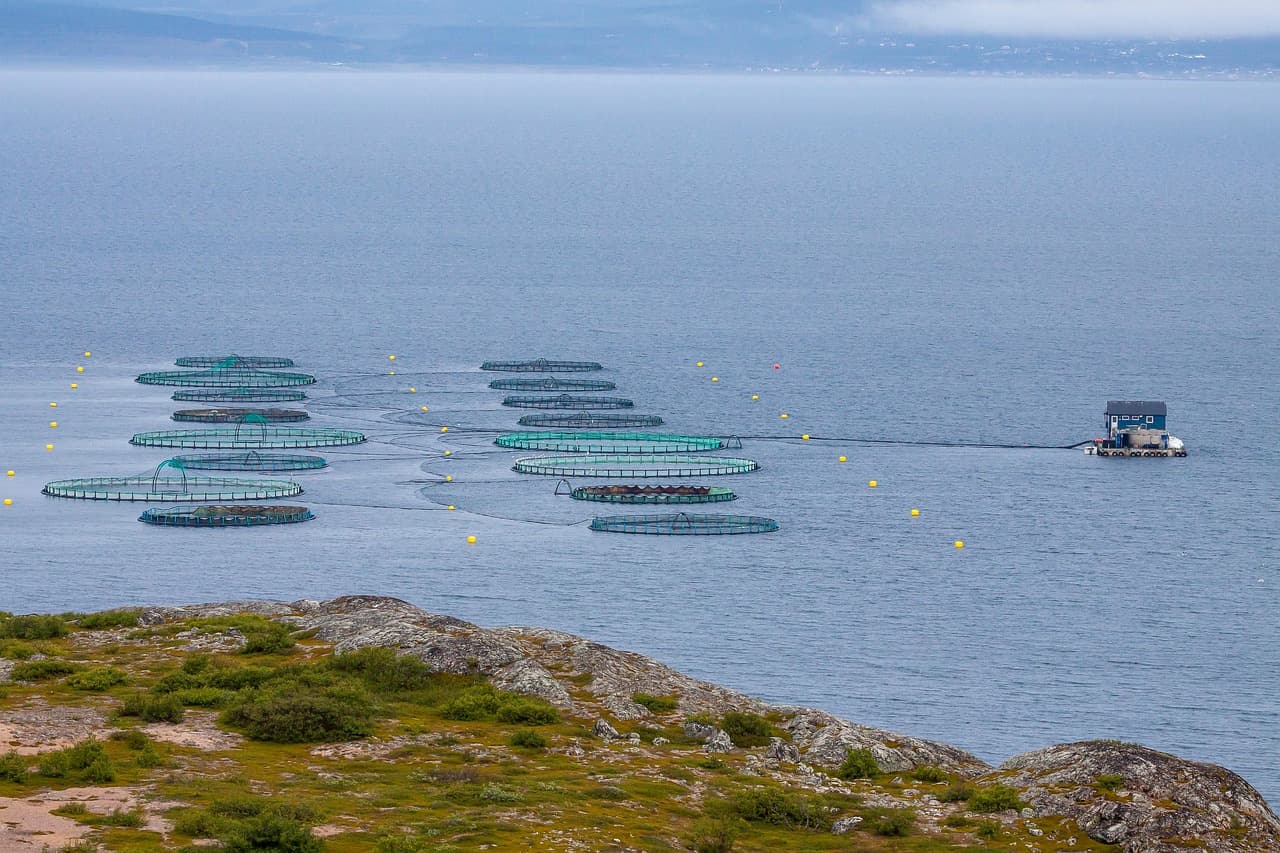 Picture of Aquaculture