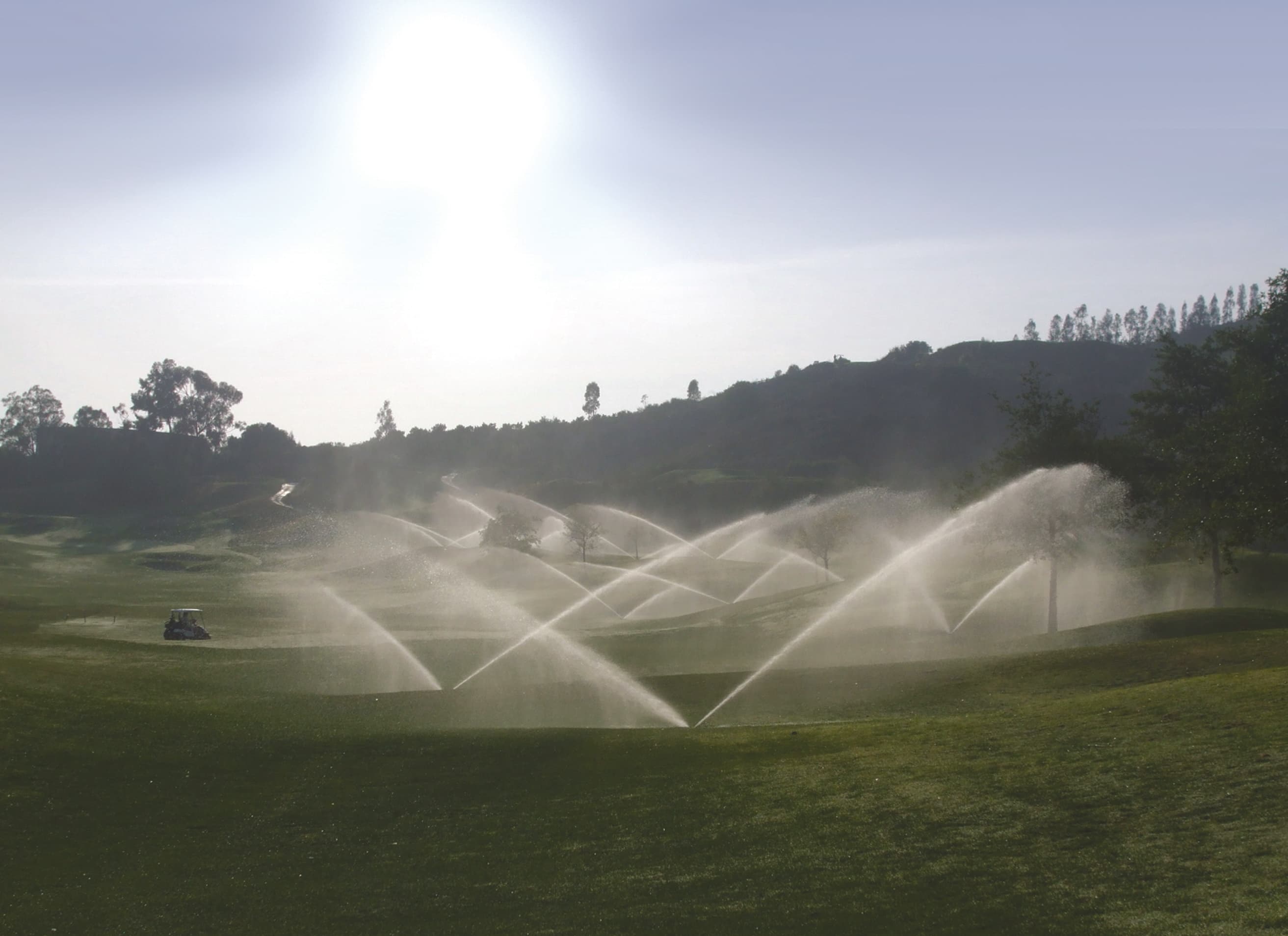 Picture of Golf & Turf